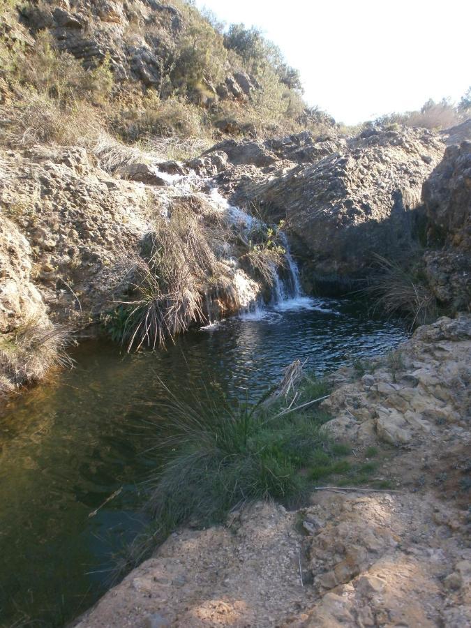 Albergue Coto Real De La Marina Cehegín Kültér fotó
